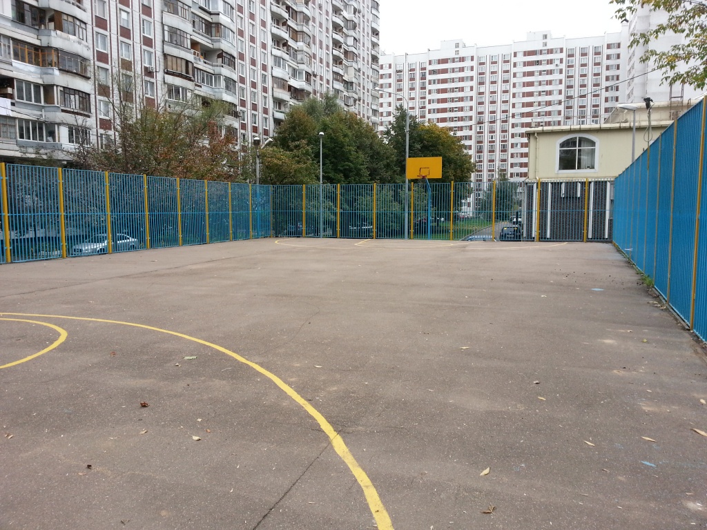 Муниципальный округ Крылатское в городе Москве : Спортивные площадки  муниципального образования